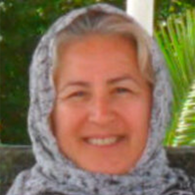 Dr Hamira Zamani-Farahani
